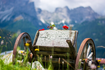 an old cart used as a flower carrier in the beauties of Comelico