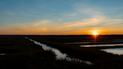 Couch&eacute; de soleil sur ostr&eacute;iculture