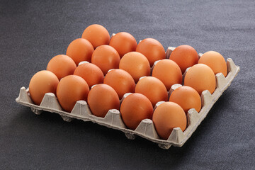 Organic chicken egg in the carton