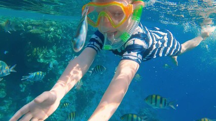 Snorkeling child diving in clear blue ocean water with beautiful coral and fish. Exploring and enjoying underwater with snorkel, diving mask. Swimming, adventure in summer vacation