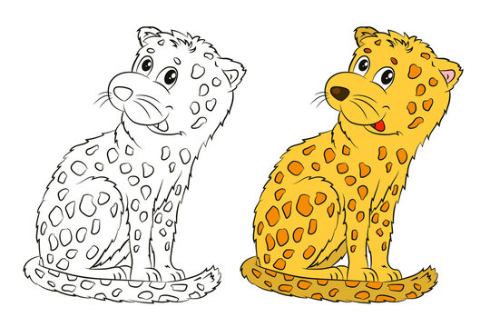 Animals, leopard. Black and white and color image. Coloring for children. Vector drawing.