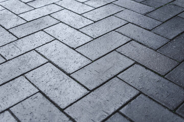 Close-up, Dark gray concrete paving slabs.