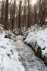 Early spring. Although the snow is still everywhere, but the frosts weaken and the day sun melts the snow blanket, and hence the spring streams appear.