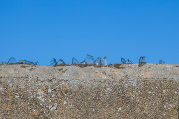 Wall top covered with transparent broken glass