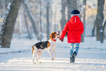 Boy in red jacket and american beagle dog running through snow on camera together in park winter
