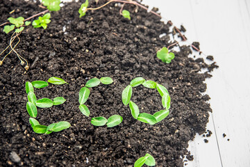 soil and word eco isolated over white wooden background, gardeing or farming concept, eco, new life or season