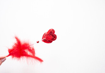 Red hearts with red feathers. Decor two hearts