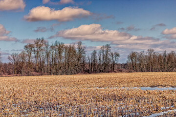 Looking out across a frozen corn field in the winter months. 