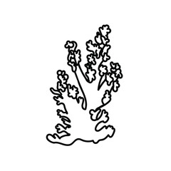Vector simple illustration with Corals on white isolated background.Ocean,Summer underwater animal hand drawn in doodle style.Design for postcards,stickers,packages,social media,web,coloring.
