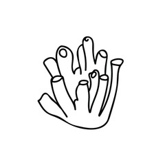 Vector simple illustration with Corals on white isolated background.Ocean,Summer underwater animal hand drawn in doodle style.Design for postcards,stickers,packages,social media,web,coloring.