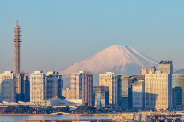 【横浜港快晴】早朝のみなとみらいのビル群と真っ白な富士山