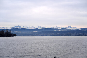 Beautiful scenic landscape with Lake Zurich in the foreground and Swiss Alps in the background on a cloudy winter afternoon. Photo taken February 3rd, 2022, Zurich, Switzerland.