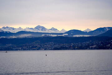 Beautiful scenic landscape with Lake Zurich in the foreground and Swiss Alps in the background on a cloudy winter afternoon. Photo taken February 3rd, 2022, Zurich, Switzerland.