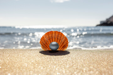 Jakobsmuschel mit Perle am Strand mit Meer im Hintergrund