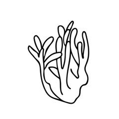 Vector simple illustration with Corals on white isolated background.Ocean,Summer underwater animal hand drawn in doodle style.Design for postcards,stickers,packages,social media,web,coloring.