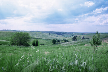 Beautiful summer landscape with green valley.