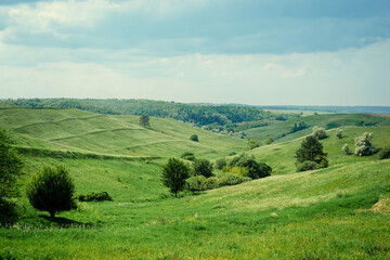 Beautiful summer landscape with green valley.