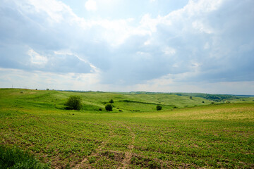 Fototapeta na wymiar Beautiful summer landscape with green valley.
