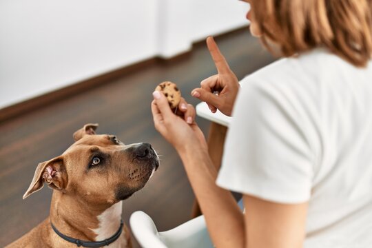 Young caucasian woman teaching dog prohibition eat cookies at home