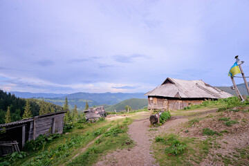 Beautiful mountains landscape with green meadow, sunset and wooden house. Carpathians, Ukraine.