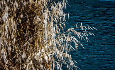 Pounding the design solution of the street space