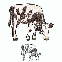 Vintage hand drawn sketch  colored brown Holstein cow