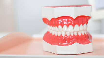 Naklejka premium dental model in hospital dentistry