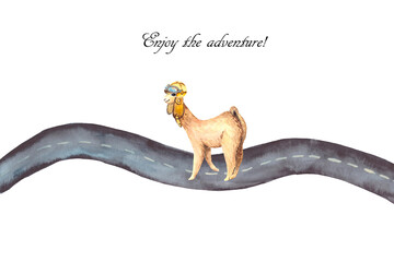 Alpaca on the road. Watercolor drawing of a funny animal in a pilot's hat walking on asphalt. Hand-painted, drawing on a white background for children's postcards and illustrations.
