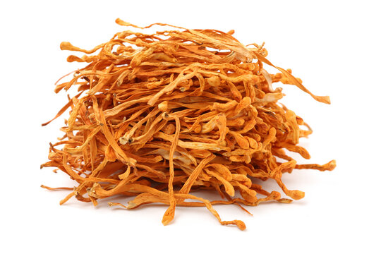 dried cordyceps militaris mushroom isolated on white background