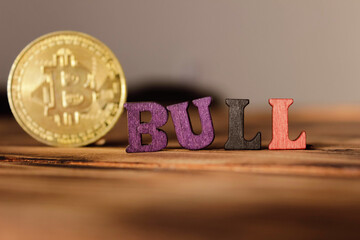 Cryptocurrency concept. The dynamics of bitcoin rates. The rise and fall of bitcoin. Bulls.