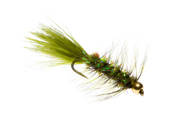 Side view of a green tail woolly bugger fly for trout fishing on a white background.