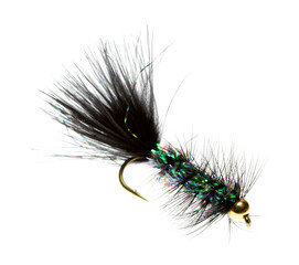 Side view of a black and green woolly bugger fly for trout fishing on a white background.