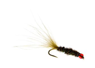 Side view of a fantail fly for trout fishing on a white background.