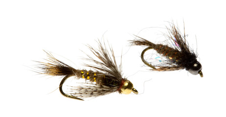 Two fly fishing nymphs on a white background.