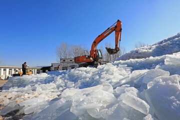 Farmers are sorting out ice cubes and piling them up into huge piles of ice, North China