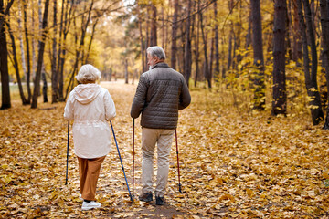 Nordic walking, rear view on elderly aged caucasian european couple walk with canes in autumn park....