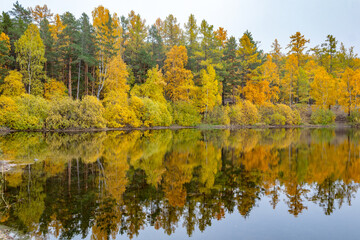 autumn trees reflected in water
