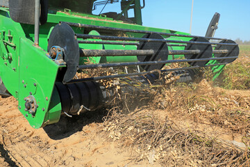 Farmers drive agricultural machinery to harvest peanuts in the fields, North China