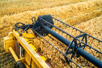 Yellow grain harvesting combine in a sunny day. Yellow field with grain. Agricultural technic works in field. Closeup