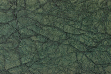 cracks on a fossil stone background