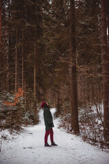 a person looking up to the tall pine trees in the winter forest
