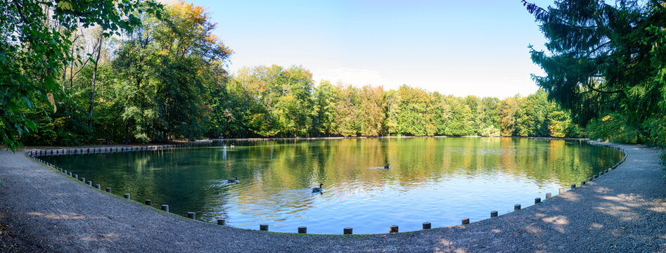 Idyllische Natur am Stempflesee im Augsburger Stadtwald