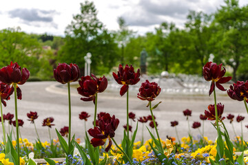 Obraz premium Marienbad