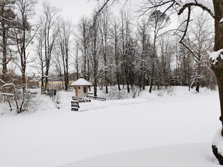 Winter in Pavlovsky Park white snow and cold trees