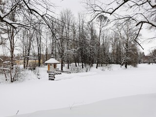 Winter in Pavlovsky Park white snow and cold trees