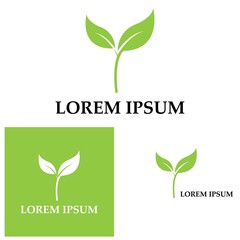 Logos of green Tree leaf ecology nature element vector