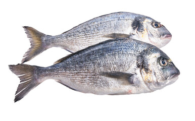  Two uncooked fishes over white isolated background