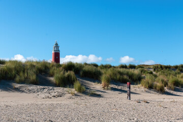 Fototapeta na wymiar The Texel lighthouse sticking out above the dunes in the Netherlands with a clear blue sky on a beautiful day