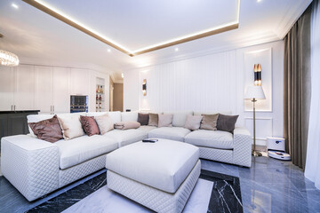 Fototapeta na wymiar living room in a light minimalist design. White sofa with white and brown pillows.