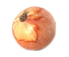 Ripe round onion isolated on white background.
